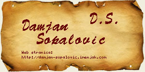 Damjan Šopalović vizit kartica